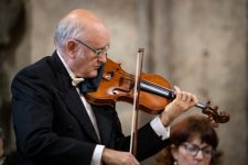 violino